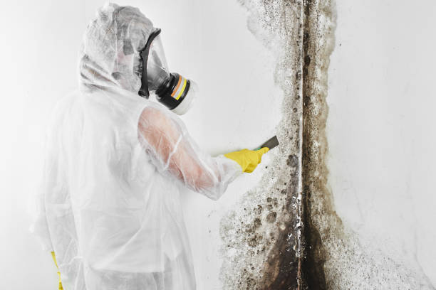Best Crawl Space Mold Removal  in Clovis, CA