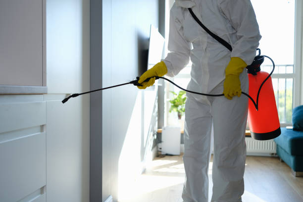 Best Mold Testing  in Clovis, CA