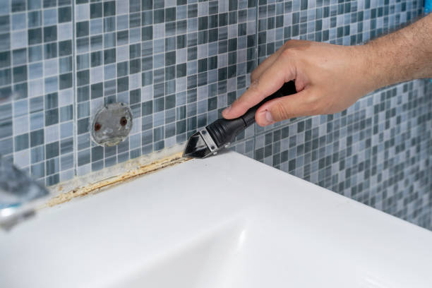 Best Residential Mold Removal  in Clovis, CA
