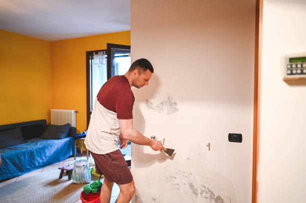 Best Crawl Space Mold Removal  in Clovis, CA