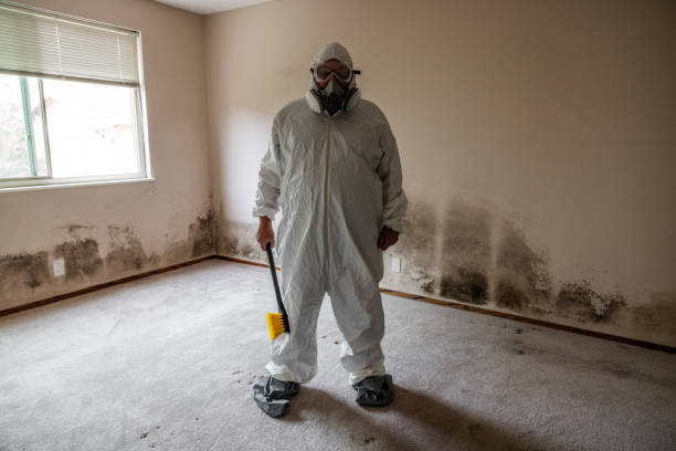Best Commercial Mold Removal  in Clovis, CA